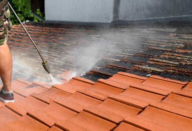 Best Residential Pressure Washing Services  in Cornersville, TN