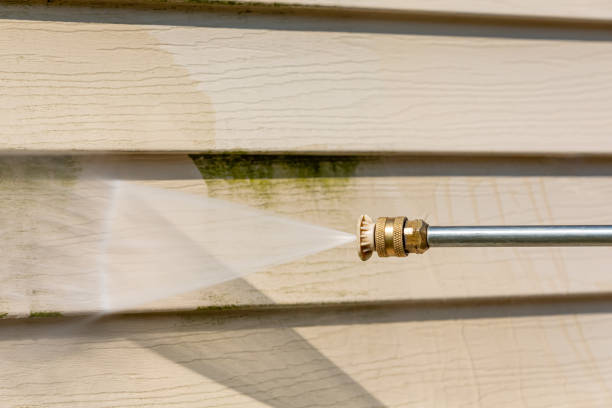 Best Roof Pressure Washing  in Cornersville, TN